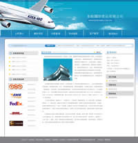 東航物流有限公司網(wǎng)站建設(shè)