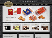 廣州中比進(jìn)出口有限公司網(wǎng)站建設(shè)