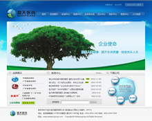 盈天醫(yī)藥網(wǎng)站建設