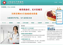 公安縣地方病醫(yī)院網(wǎng)站建設(shè)