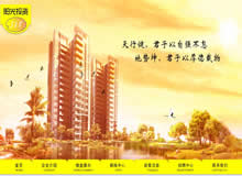 陽光投資網(wǎng)站建設