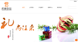 廣州君誠壹品文化發(fā)展有限公司網(wǎng)站建設