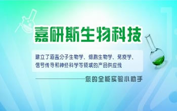廣州嘉研斯科技有限公司網(wǎng)站建設(shè)