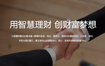 廣東申維投資網(wǎng)站建設(shè)