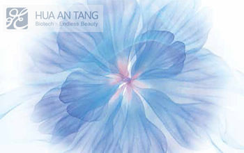 HUA AN TANG 花安堂網(wǎng)站建設(shè)